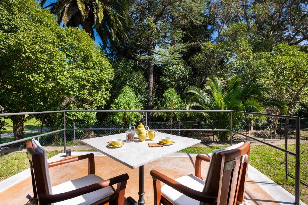 Son Grua Agroturismo - Adults Only Pollensa Zewnętrze zdjęcie